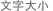 文字大小